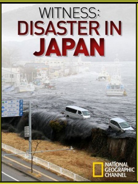   :   (Witness: Disaster In Japan)